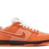 Nike Concepts X Dunk Low SB 'Orange Lobster' Special Box -Cheap Shoe Shop 1 379
